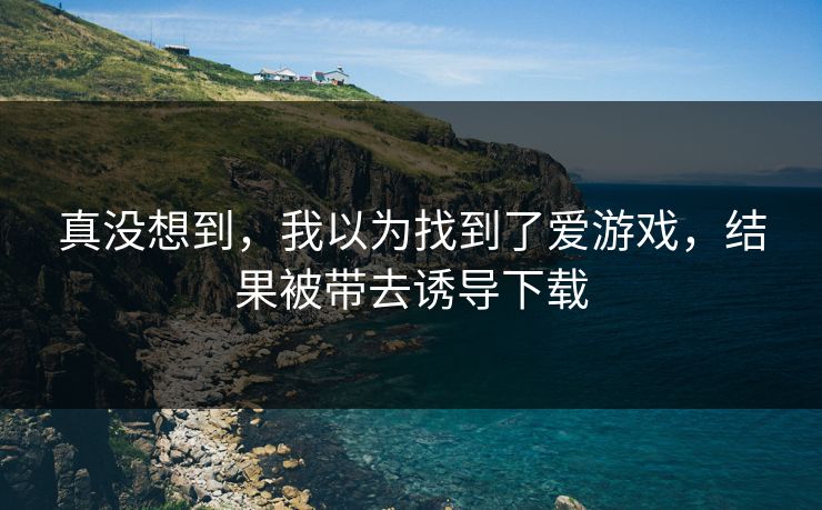 真没想到，我以为找到了爱游戏，结果被带去诱导下载
