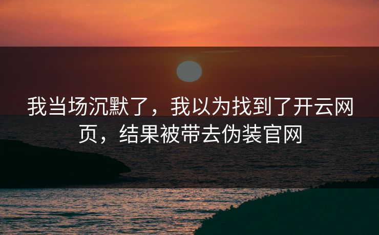 我当场沉默了，我以为找到了开云网页，结果被带去伪装官网