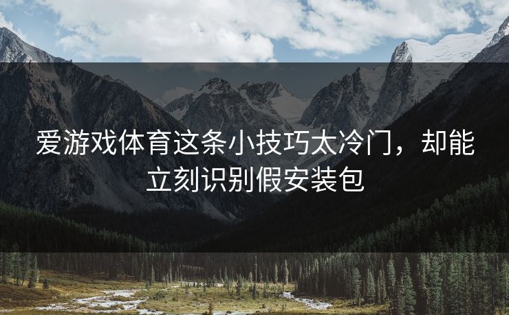 爱游戏体育这条小技巧太冷门，却能立刻识别假安装包