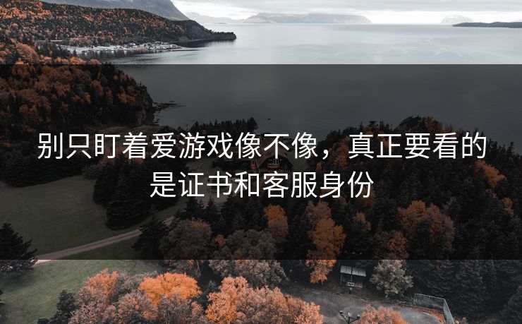 别只盯着爱游戏像不像，真正要看的是证书和客服身份