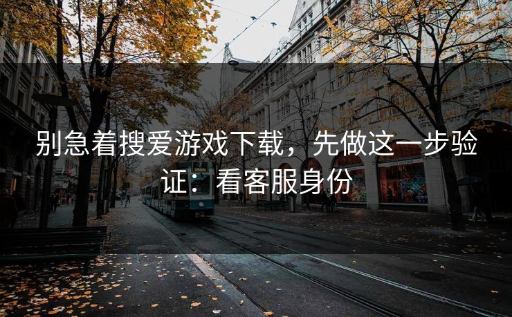别急着搜爱游戏下载，先做这一步验证：看客服身份