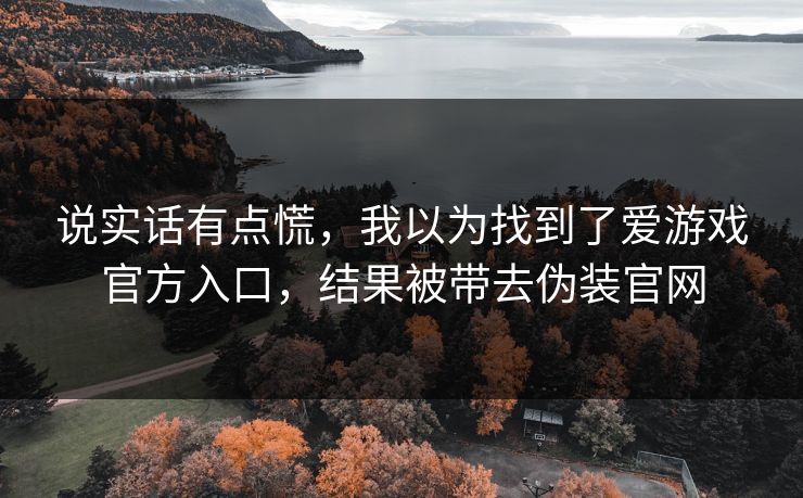 说实话有点慌，我以为找到了爱游戏官方入口，结果被带去伪装官网
