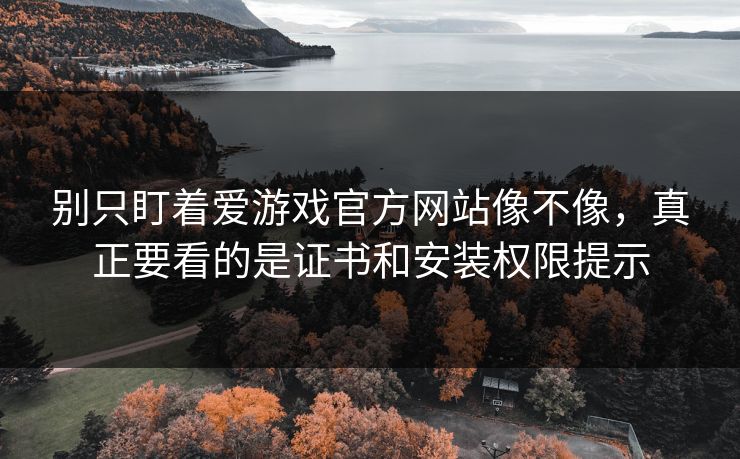 别只盯着爱游戏官方网站像不像，真正要看的是证书和安装权限提示