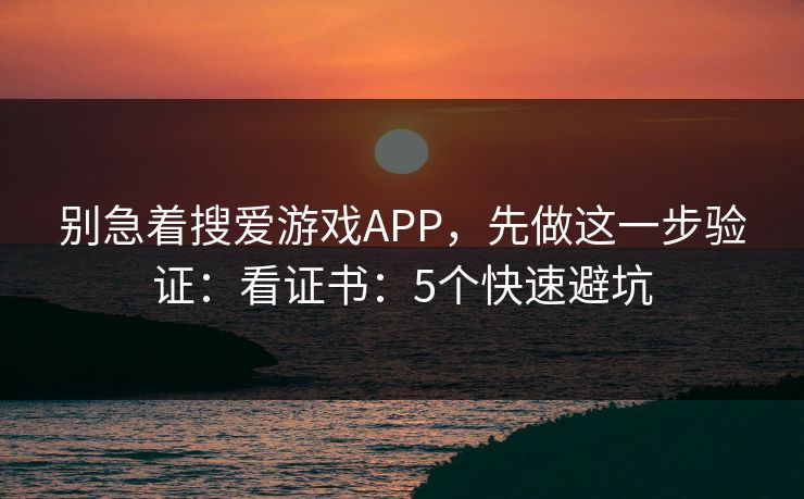 别急着搜爱游戏APP，先做这一步验证：看证书：5个快速避坑